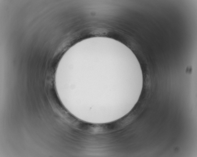 X0000110730370200906121316