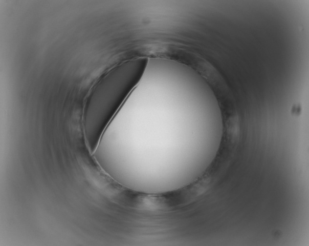 X0000110730372200906121316