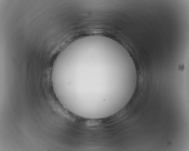 X0000110730373200906121316