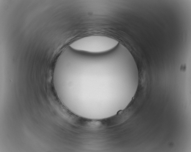 X0000110730374200906121316