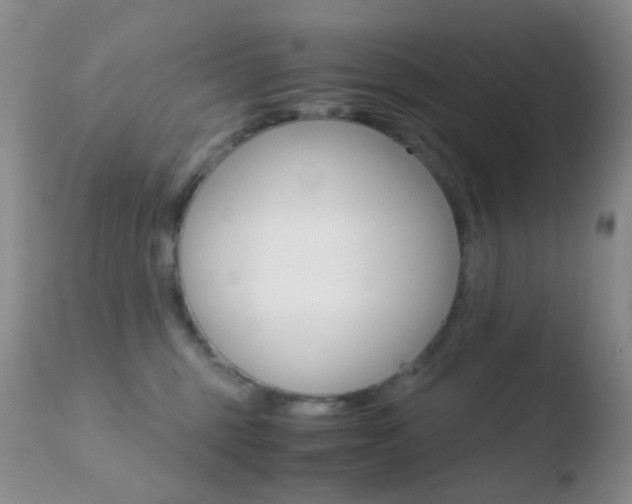 X0000110730375200906121316