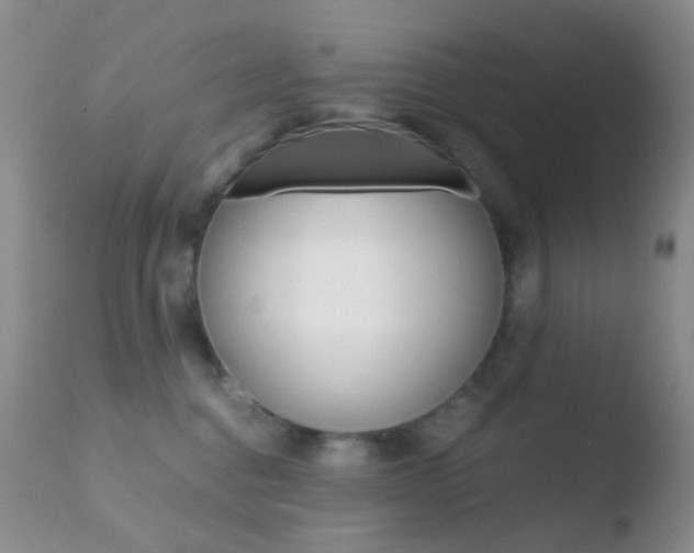 X0000110730376200906121316