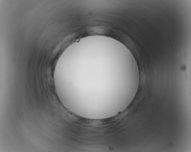 X0000110730377200906121316
