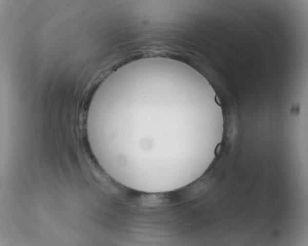 X0000110730378200906121316