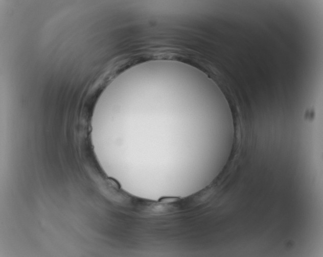 X0000110730379200906121316