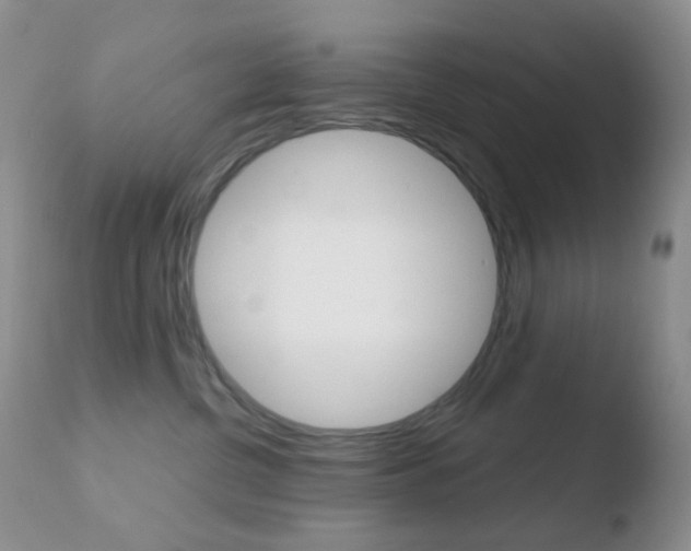 X0000110730380200906121316