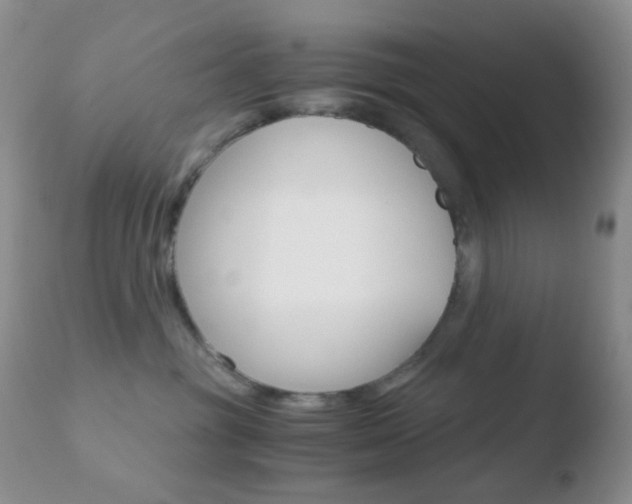 X0000110730381200906121316