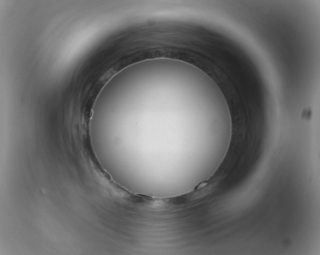 X0000110730382200906121316