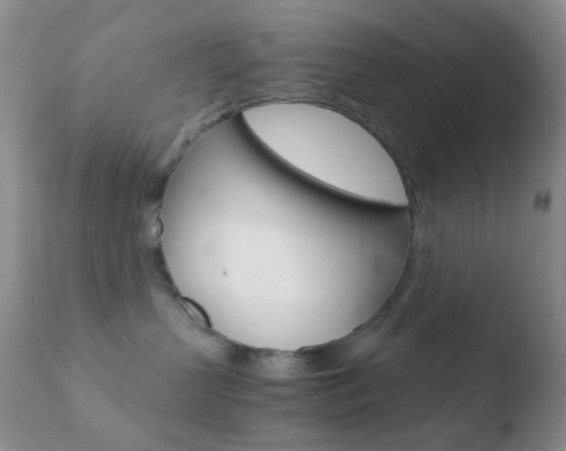 X0000110730383200906121316
