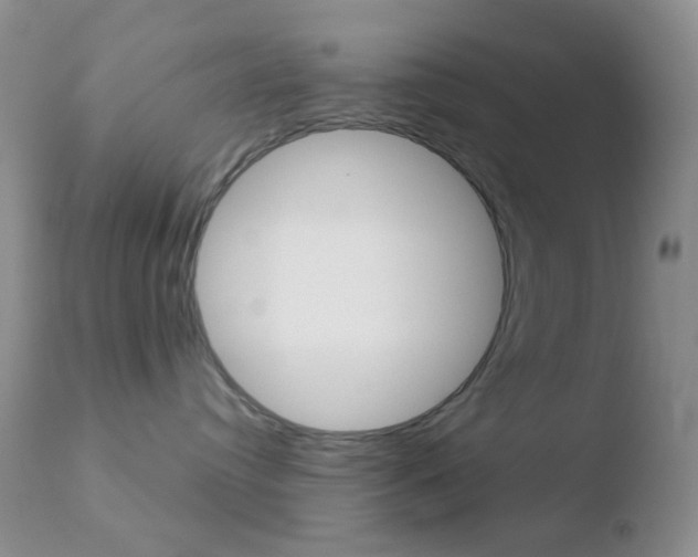 X0000110730384200906121316