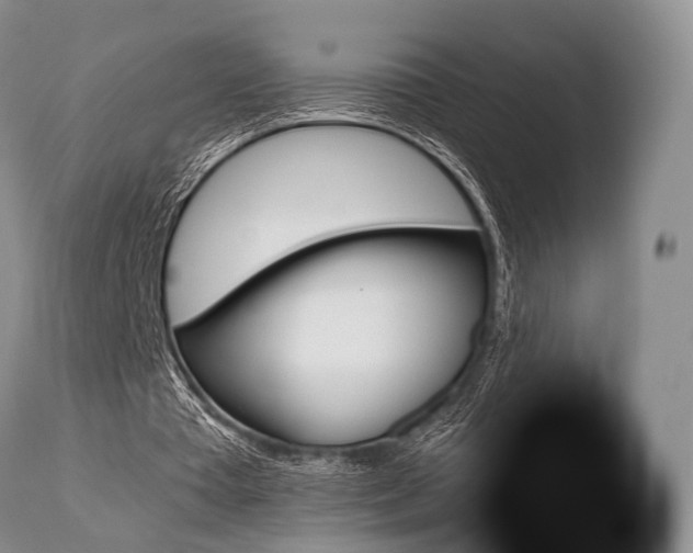 X0000110730385200906121316