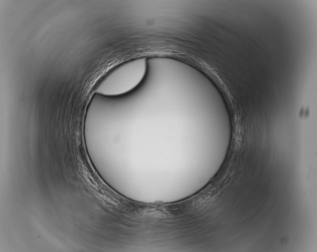X0000110730386200906121316