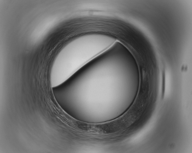 X0000110730387200906121315