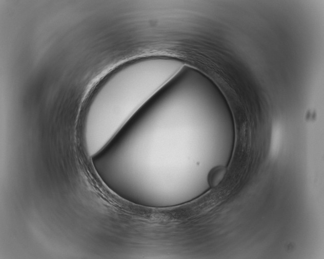 X0000110730388200906121315