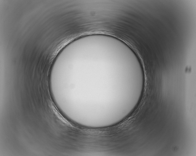 X0000110730389200906121315