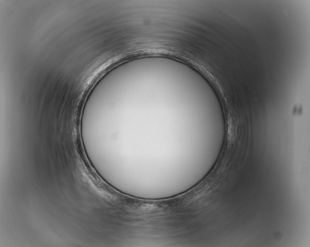 X0000110730390200906121315