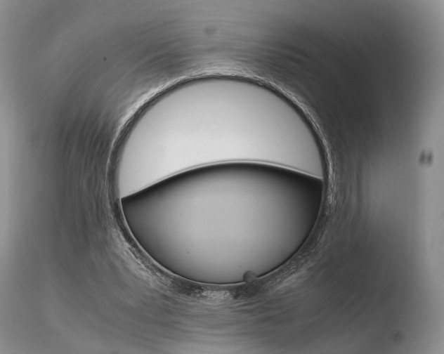 X0000110730391200906121315