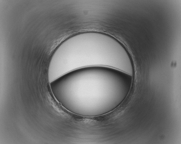 X0000110730393200906121315