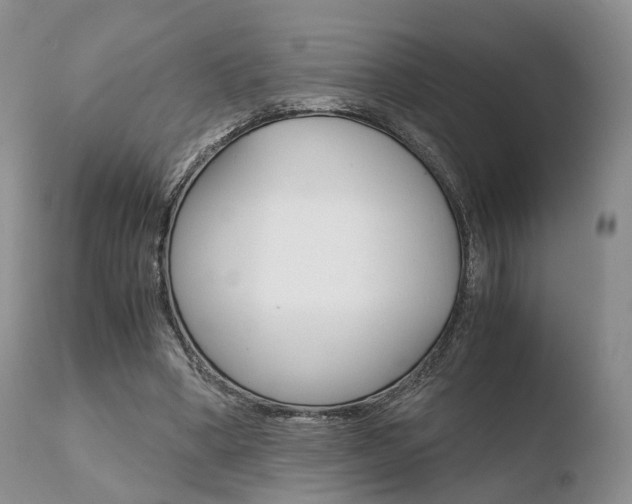 X0000110730394200906121315