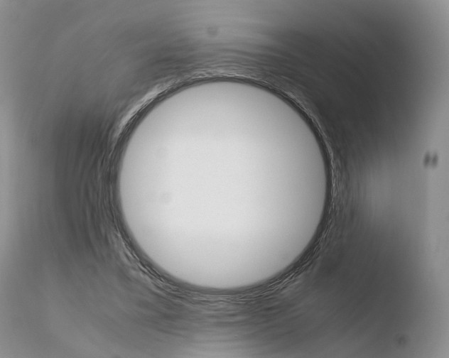 X0000110730395200906121315