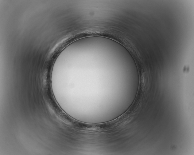 X0000110730396200906121315