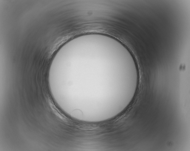 X0000110730397200906121315