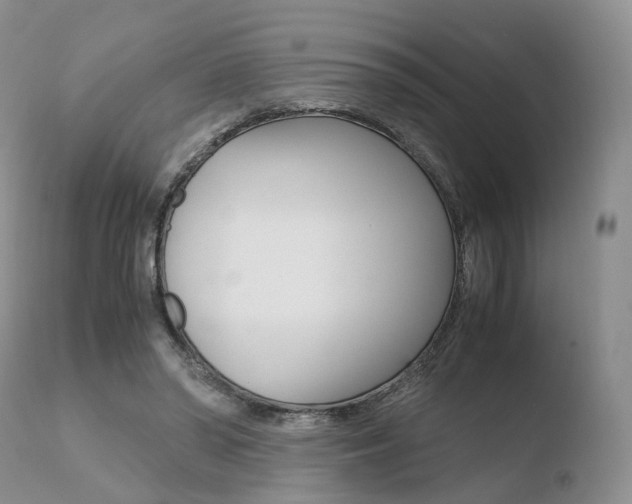 X0000110730398200906121315