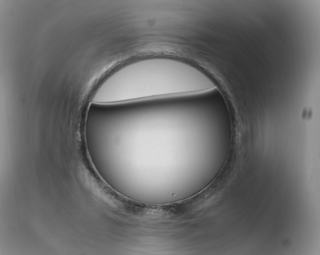 X0000110730399200906121315