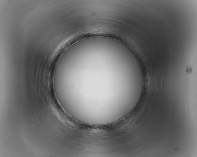X0000110730400200906121315