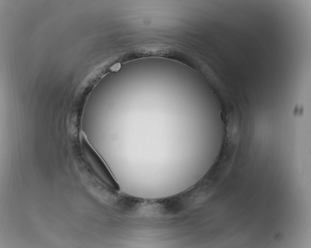 X0000110730403200906121315