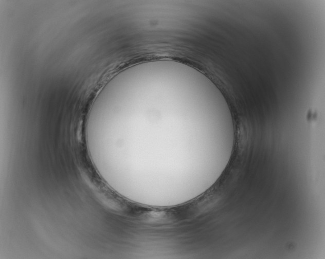 X0000110730406200906121315