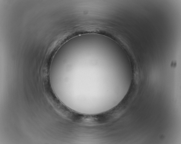 X0000110730407200906121315