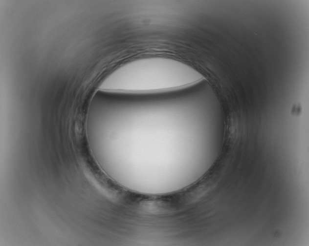 X0000110730408200906121315