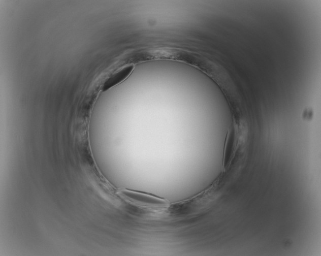 X0000110730409200906121315