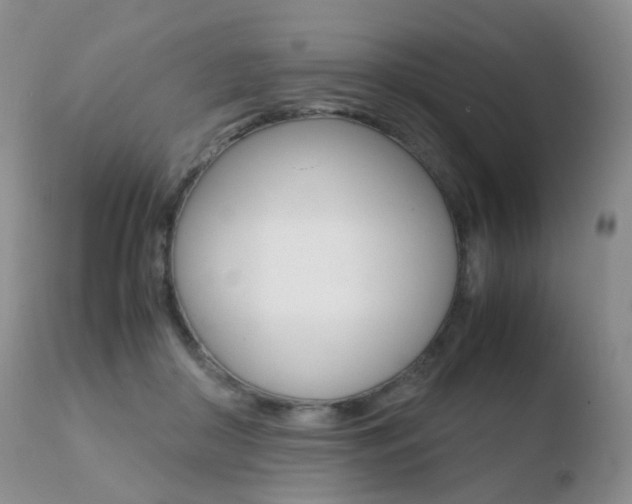 X0000110730410200906121315