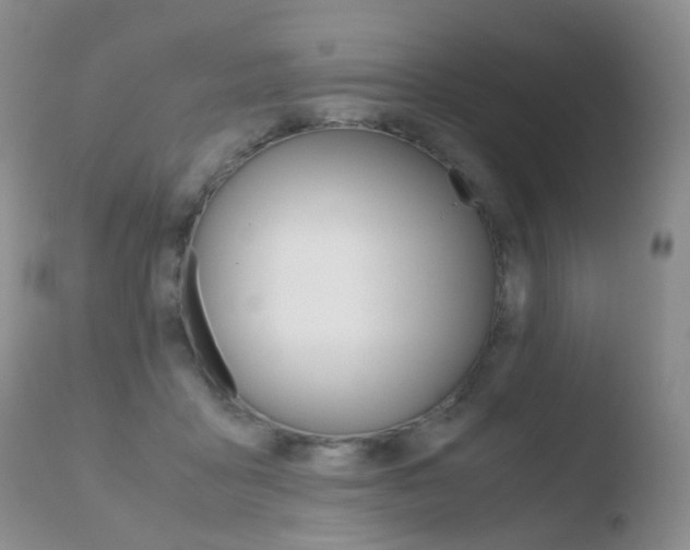 X0000110730411200906121315