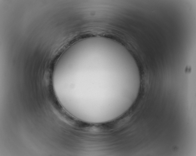 X0000110730412200906121315