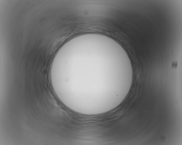 X0000110730415200906121315