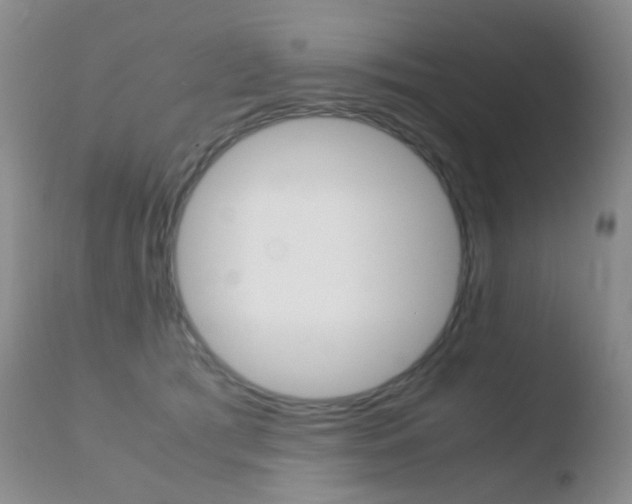 X0000110730417200906121315
