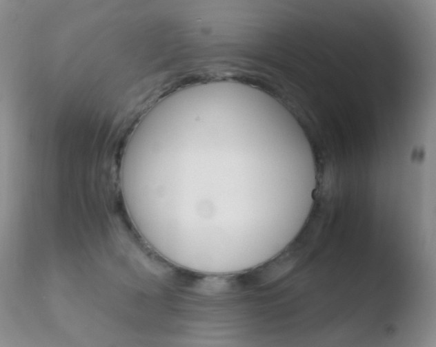 X0000110730418200906121315