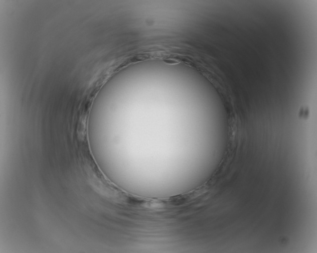 X0000110730419200906121315