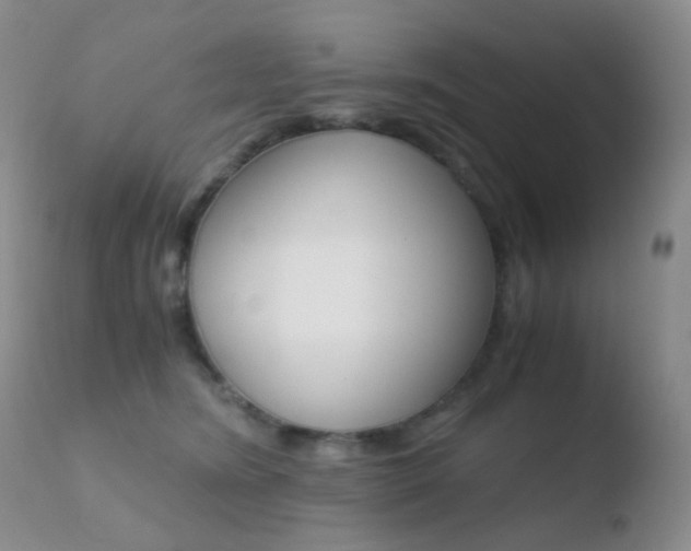 X0000110730420200906121315