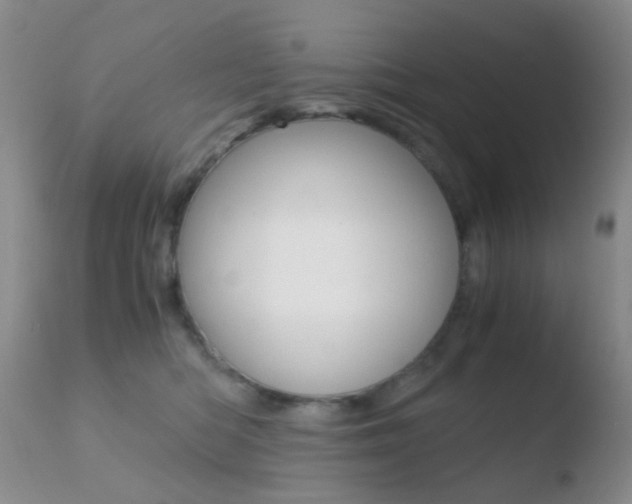 X0000110730422200906121315