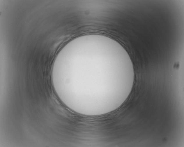 X0000110730423200906121315