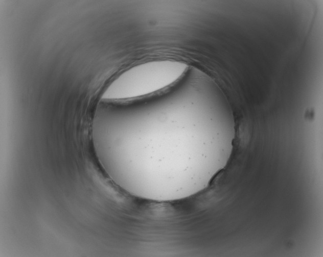 X0000110730424200906121315