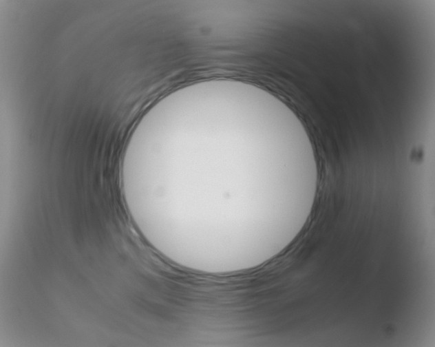 X0000110730425200906121315