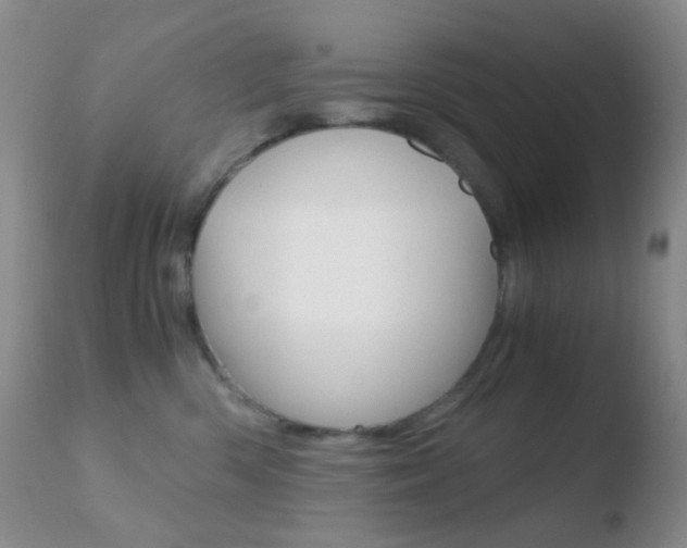 X0000110730426200906121315