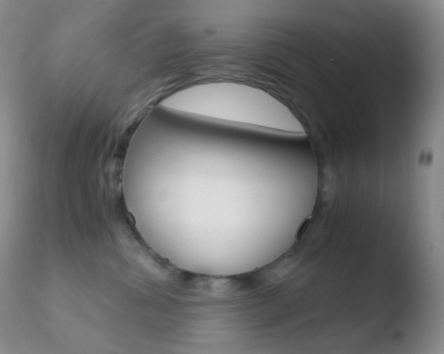 X0000110730428200906121315