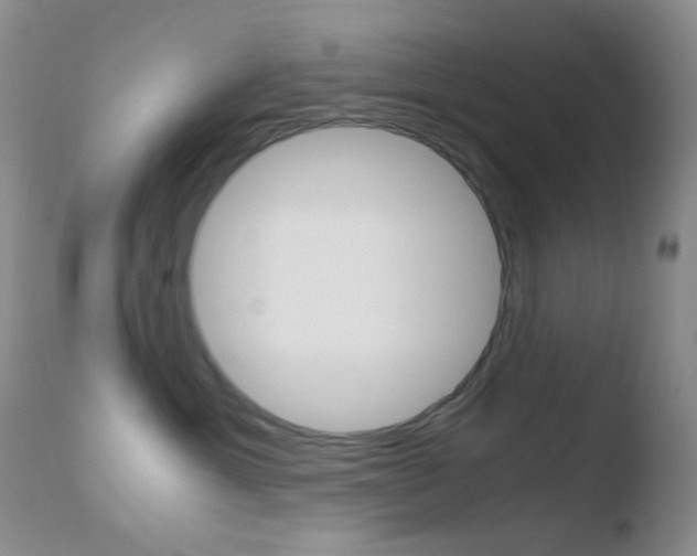 X0000110730429200906121315