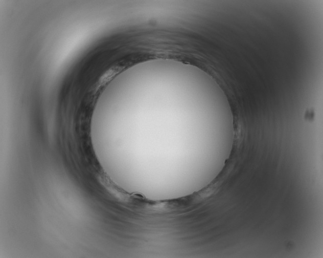 X0000110730430200906121315